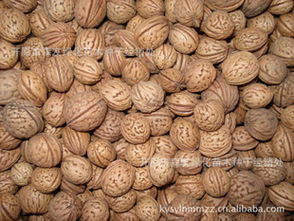 批發遼寧京桃種子 綠化苗木 園林苗木指導價 批發遼寧京桃種子 綠化苗木 園林苗木行情 開原市森友綠化苗木種子經銷處