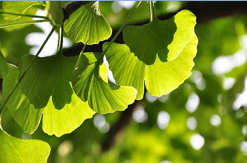 卡尼爾護(hù)膚品投資白手起家也能創(chuàng)業(yè)