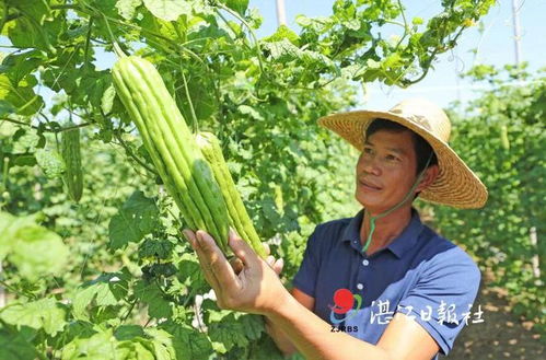 28861元 這個數據背后不簡單