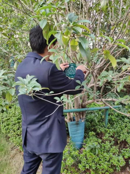 百優服務環境第三周