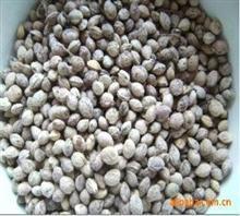 絳縣眾信苗木專業(yè)合作社 優(yōu)質(zhì)新櫻桃種子供應與價格解析